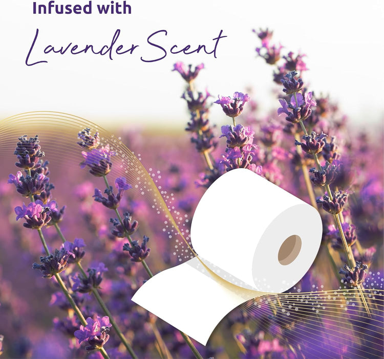 24 Rolls of Quilted 3 Ply Lavender Fragranced Toilet Rolls