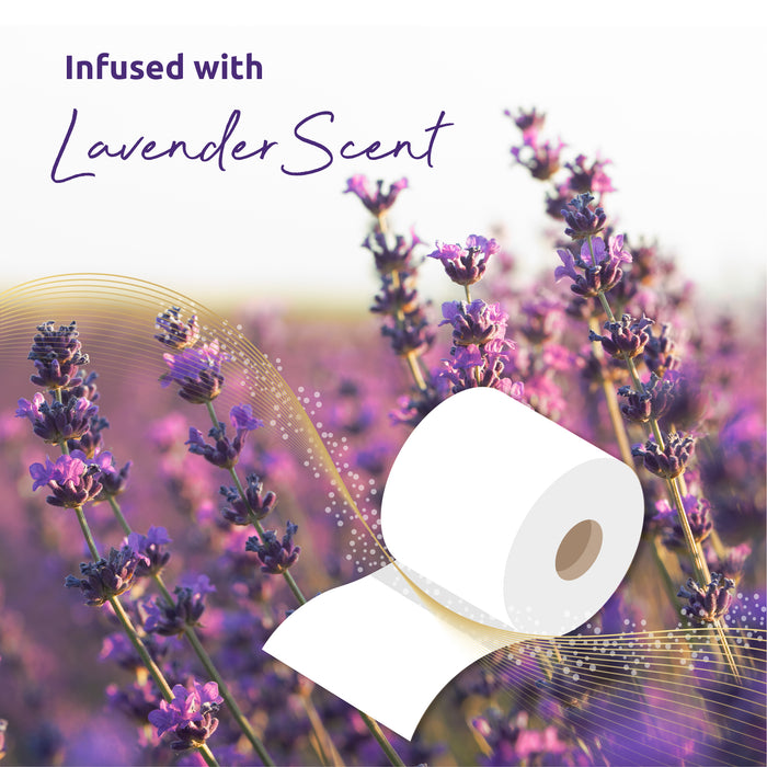 Phoenix Soft Lavender Fragranced Quilted White 3 Ply Toilet Paper (84 Pack)