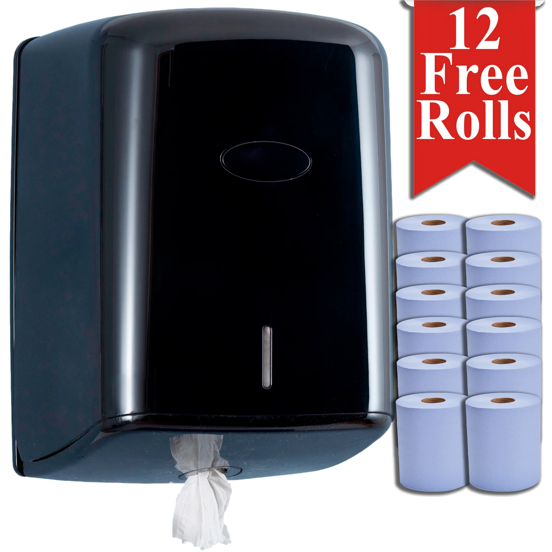 Black Wall Mounted Paper Towel Dispenser with 12 Centrefeed Blue Rolls — Alta Essentials