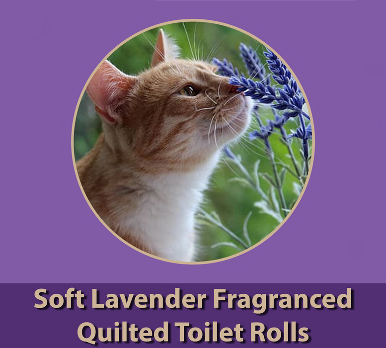 24 Rolls of Quilted 3 Ply Lavender Fragranced Toilet Rolls
